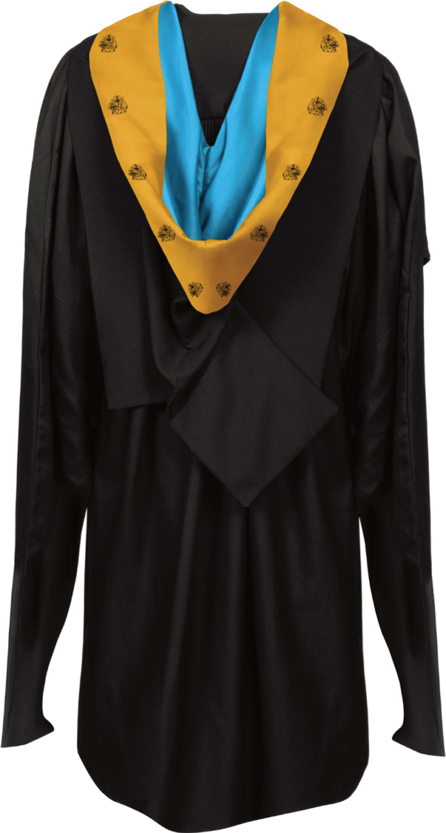 MBA graduation gown from the back